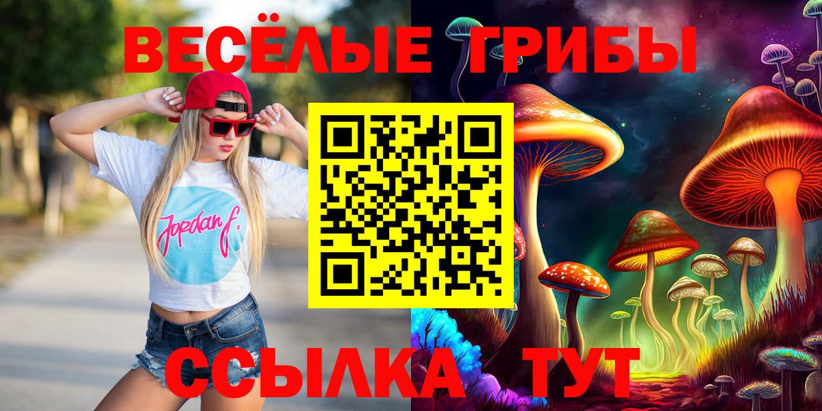 Галлюциногенные грибы Cubensis Чита