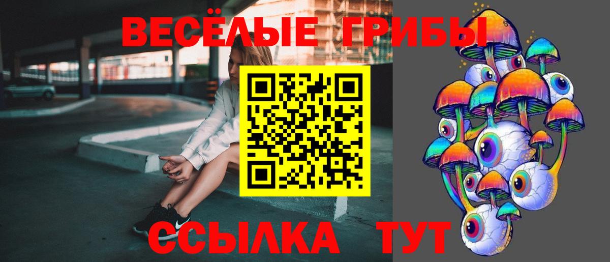 Галлюциногенные грибы Psilocybe  Вход с VPN  Чита 